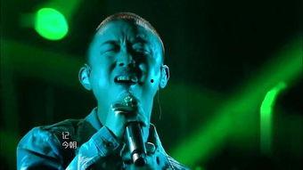 歌手2024娛樂(lè)圈吃瓜,娛樂(lè)圈風(fēng)云再起，吃瓜群眾狂歡盛宴