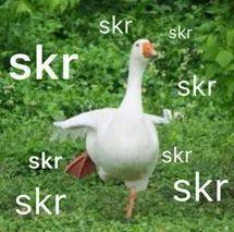 網(wǎng)上流行的吃瓜是什么意思,圍觀娛樂圈背后的真相