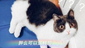 娛樂圈吃瓜磕cp,CP甜蜜互動(dòng)大盤點(diǎn)